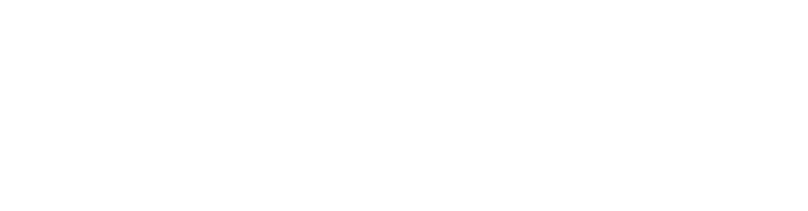 JP500